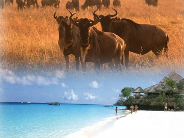 Safari Tanzania e Zanzibar